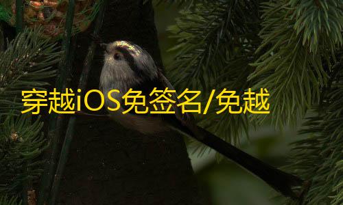 穿越iOS免签名/免越狱【士兵】辅助
